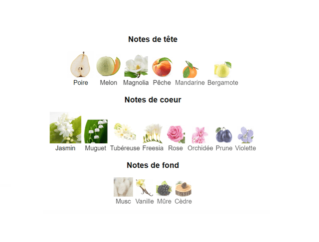 Aquador " inspiration by Christian Dior J'adore " Femme Eau De Parfum 100ml