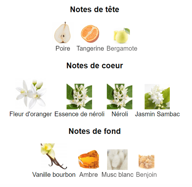 Paradise " inspiration Prada Paradoxe " Eau de Parfum Femme 100 ml