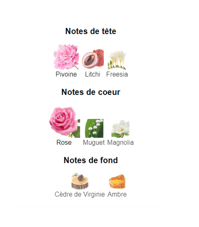 Elitar Fragrance " inspiration Chloe  de Chloe " Eau de Parfum Femme 100 ml