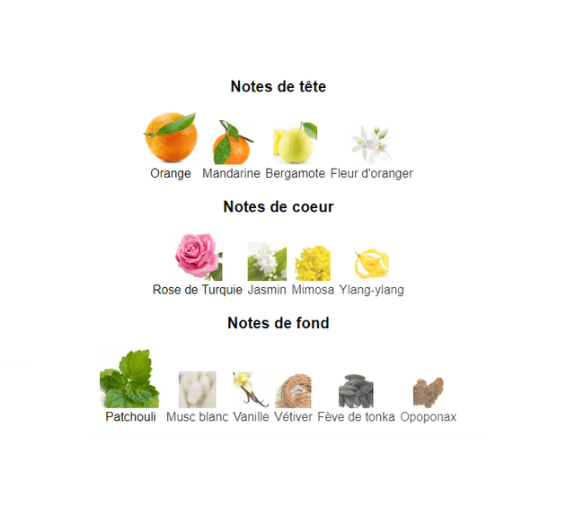 Le' Chel madame "inspiration Chanel Coco Mademoiselle" eau de parfum 100 ml 