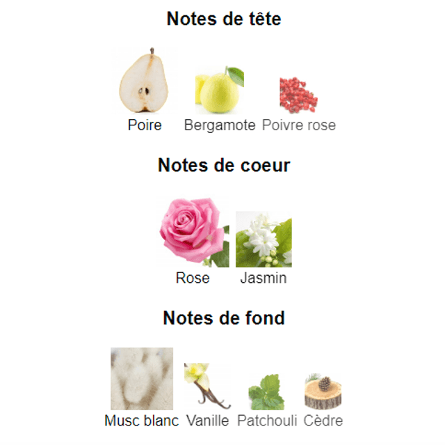 Dolly " inspiration Lancôme Idole " Eau de Parfum pour Femme 100 ml