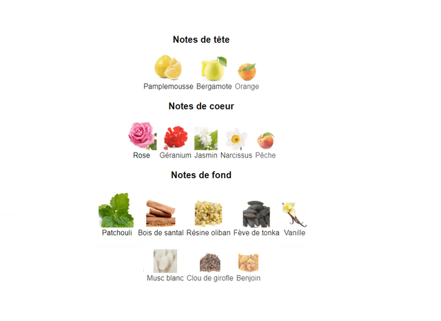Le' Chel NUIT "inspiration by Chanel Coco Noir "eau de parfum femme 100 ml