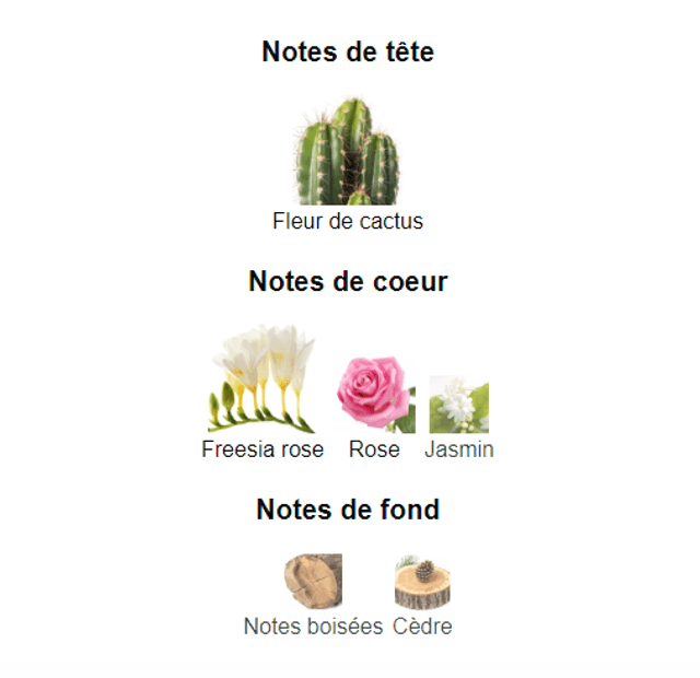Desso Mon Amie " inspiration by Hugo Boss Ma Vie Pour Femme " eau de parfum femme 100 ml