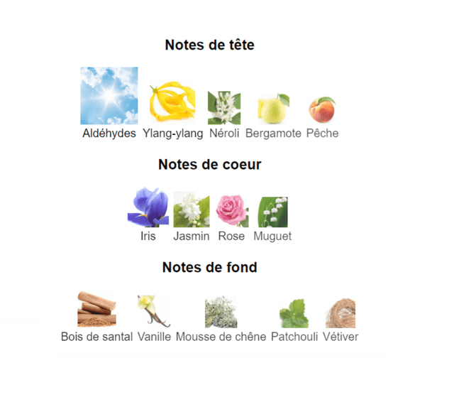 CHATLER No 4 " inspiration by Chanel No. 5 " eau de parfum 100 ml