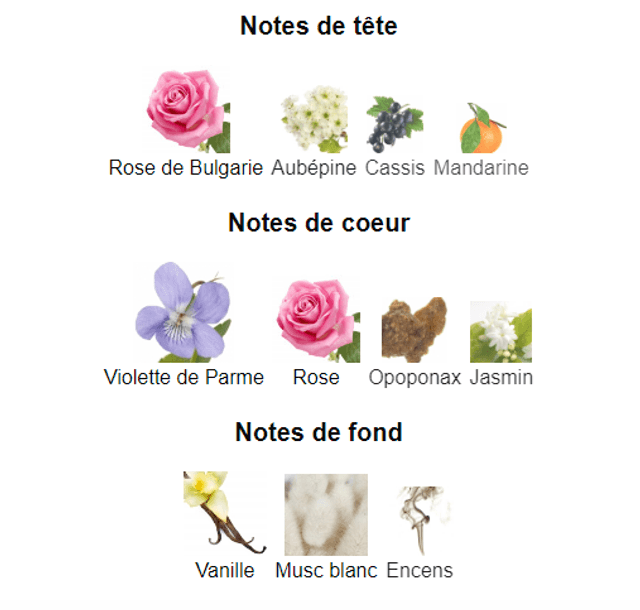 Extenzo Fleur " inspiration by Kenzo Flower de Kenzo " femme edp 100 ml
