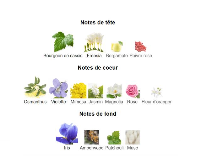 C'est la vie bouquet " inspiration by Lancôme La Vie Est Belle Florale " eau de parfum 100ml