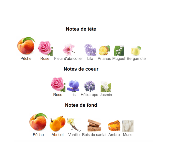  Tessa Classic " inspiration by Lancôme Trésor " eau de parfum 100 ml