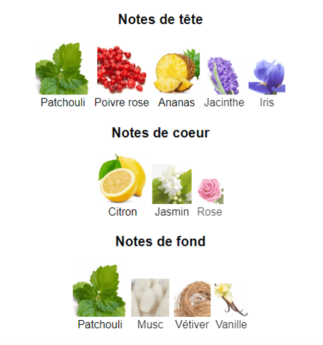 Chantre  "inspiraton by Chanel Chance" eau de parfum 100 ml 